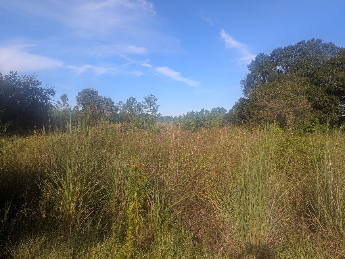 Florida land recently sold